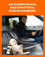 image.thumb.png.01fb96994ff889e89b6bbe61bd8156ad.png