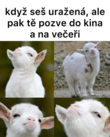 image.thumb.png.0916d9a2281e1f3f7467132abf78db96.png