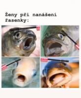 image.thumb.png.213b5d5b1cca1706cb78d8c683998360.png