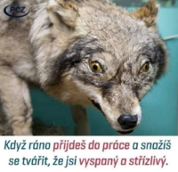 image.thumb.png.331f25ddadfd54af6662a8ba3e6533a5.png