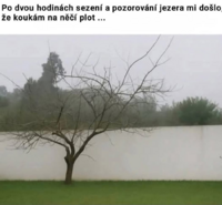 image.thumb.png.6194e8bc826f53f1ba6b0684a637b668.png