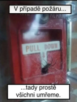 image.thumb.png.665f2dcd6f4e1ef64fab7cdd871c9507.png