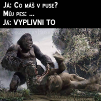 image.thumb.png.c41ccd7de70048cf082e129105ec5ba4.png