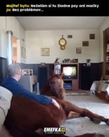 image.thumb.png.e170cb89da7014149e626d10d6672846.png