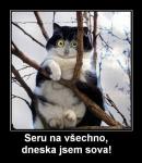 post-31661-0-67362100-1359968886_thumb.j