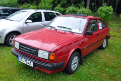 4 Internationales Skoda Treffen 042