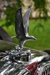 Concours D Elegance 199