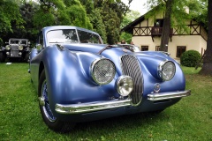 Concours D Elegance 192