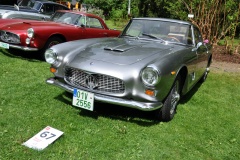 Concours D Elegance 229