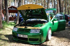 19 sraz skoda doksy 050