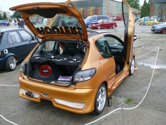 tuning Day 2012 prerov 124