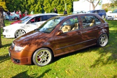 15 Sraz SKODAHOME Cz 105