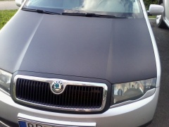 2012 06 20 fabia